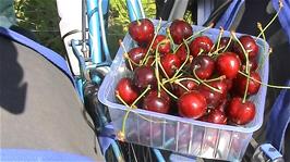 We couldn't resist buying these succulent cherries from the roadside stall at Kvalnes, 12.9 miles into the ride
